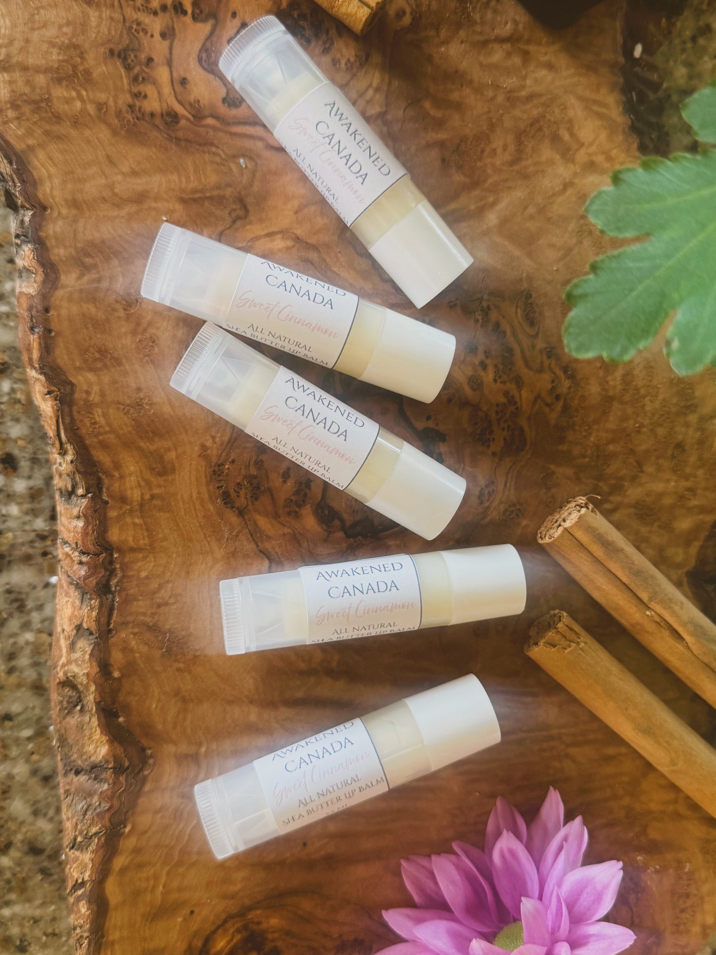 Shea butter & Calendula Lip Balm