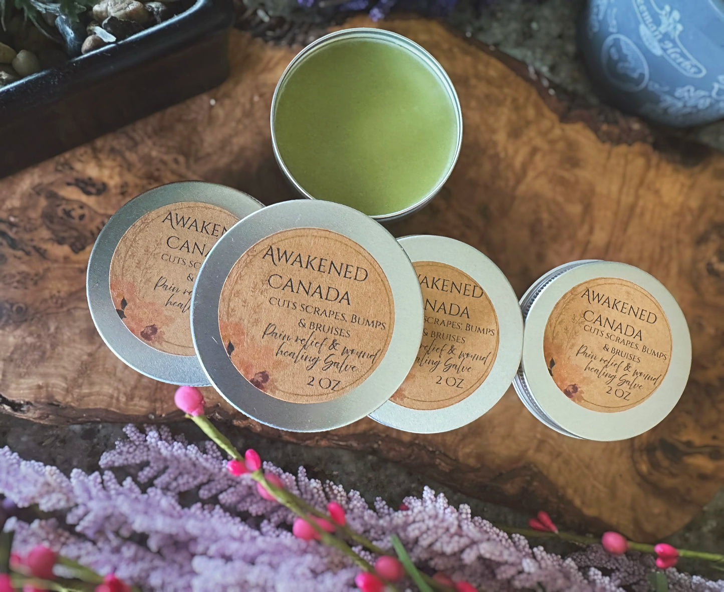 Cuts scrapes bumps & bruises salve