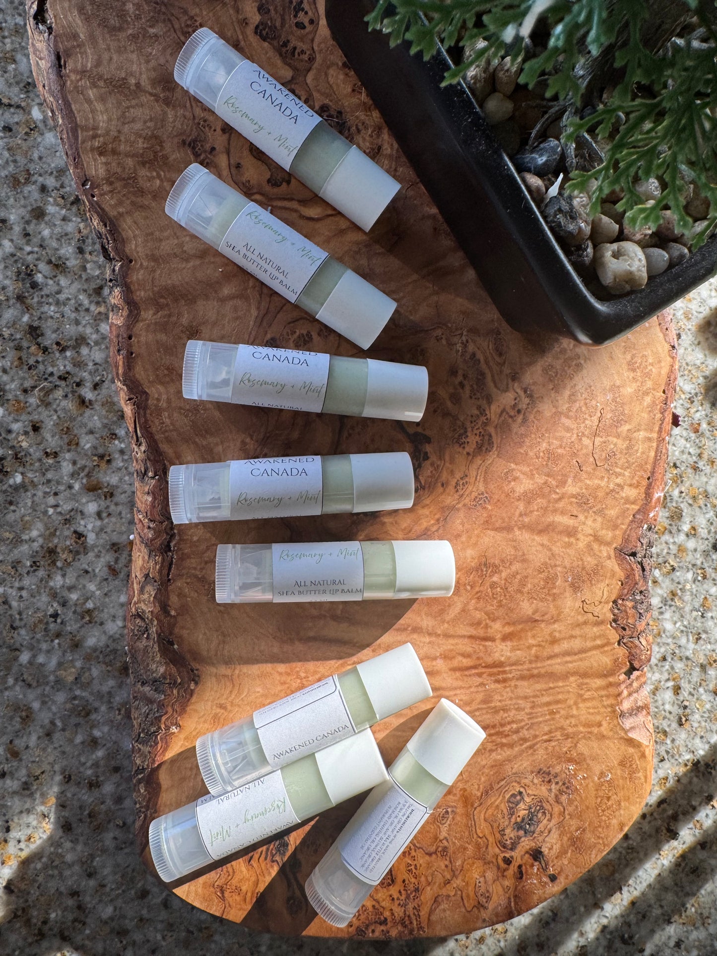 Shea butter & Calendula Lip Balm
