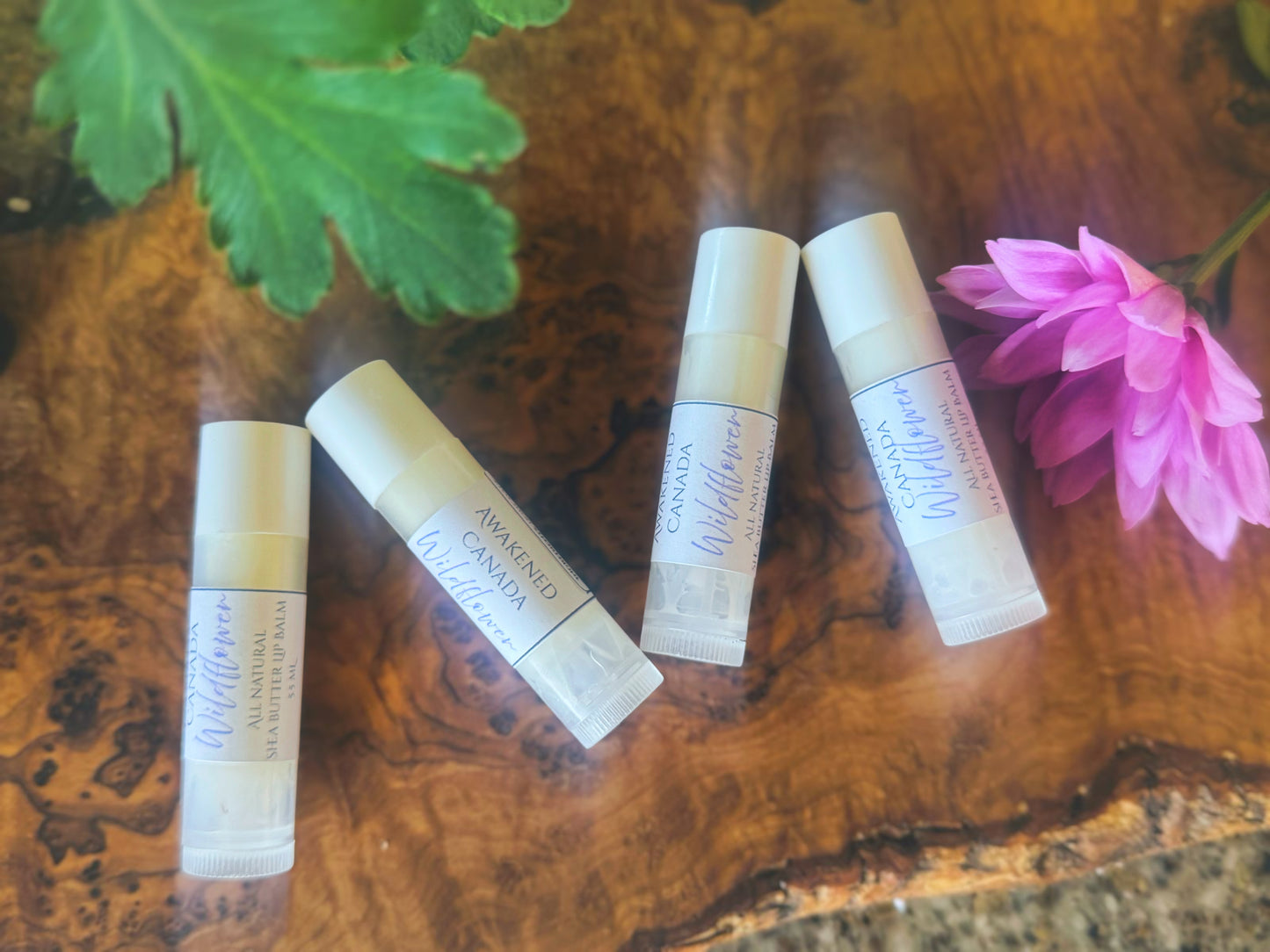 Shea butter & Calendula Lip Balm