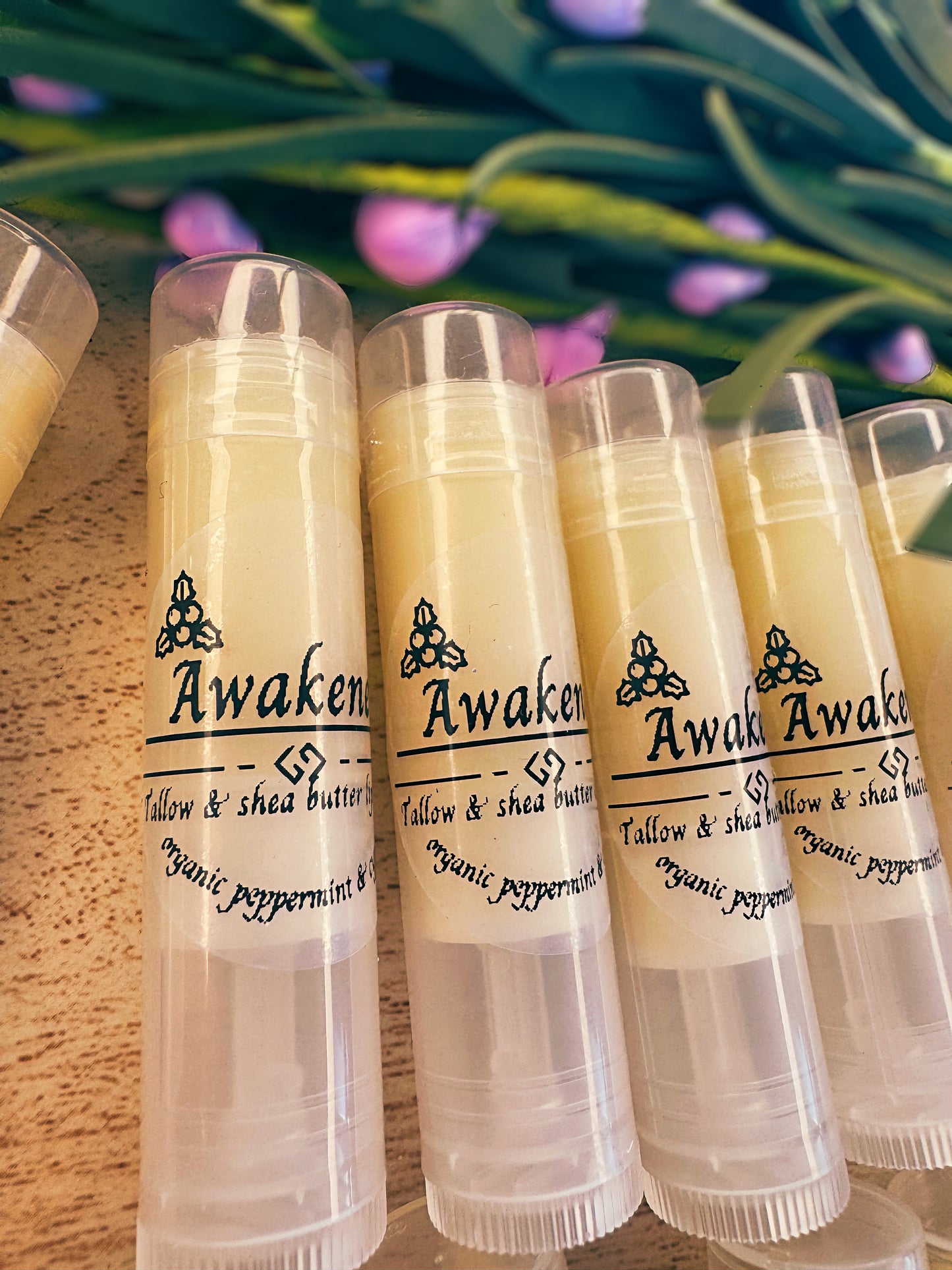 Tallow & Shea butter Lip Balm